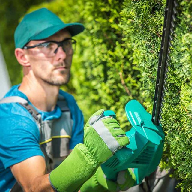 https://stewartlandscape.co.uk/wp-content/uploads/2019/08/team_05-640x640.jpg