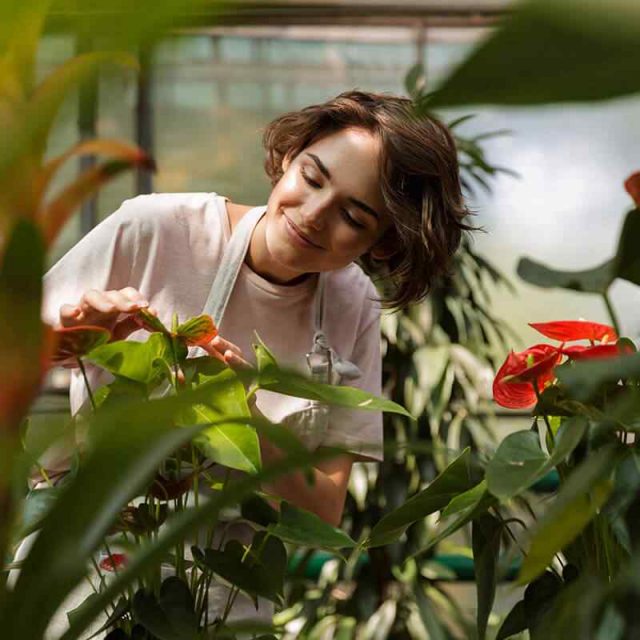 https://stewartlandscape.co.uk/wp-content/uploads/2019/10/team_08-640x640.jpg