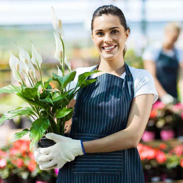 https://stewartlandscape.co.uk/wp-content/uploads/2019/10/team_10-640x640.jpg