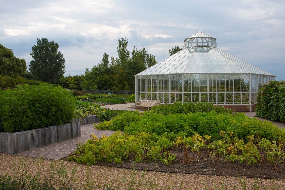 Glasshouse. Global Vegetable Garden.