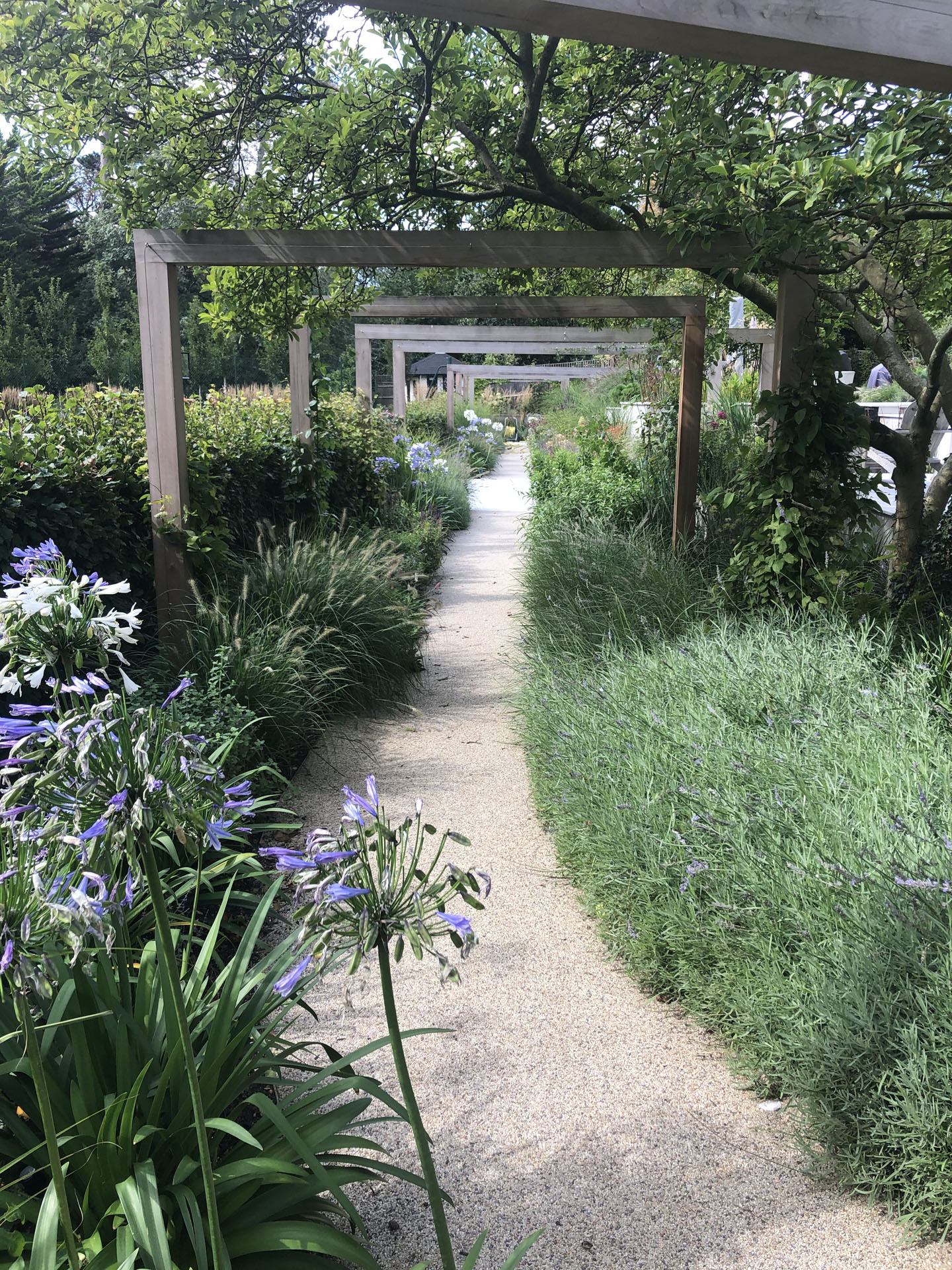 Arched Pathway with Soft Planting