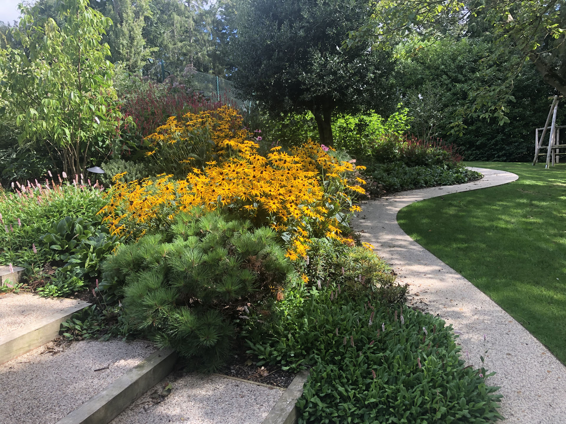 Steps & Winding Path with Vibrant Planting, Essex