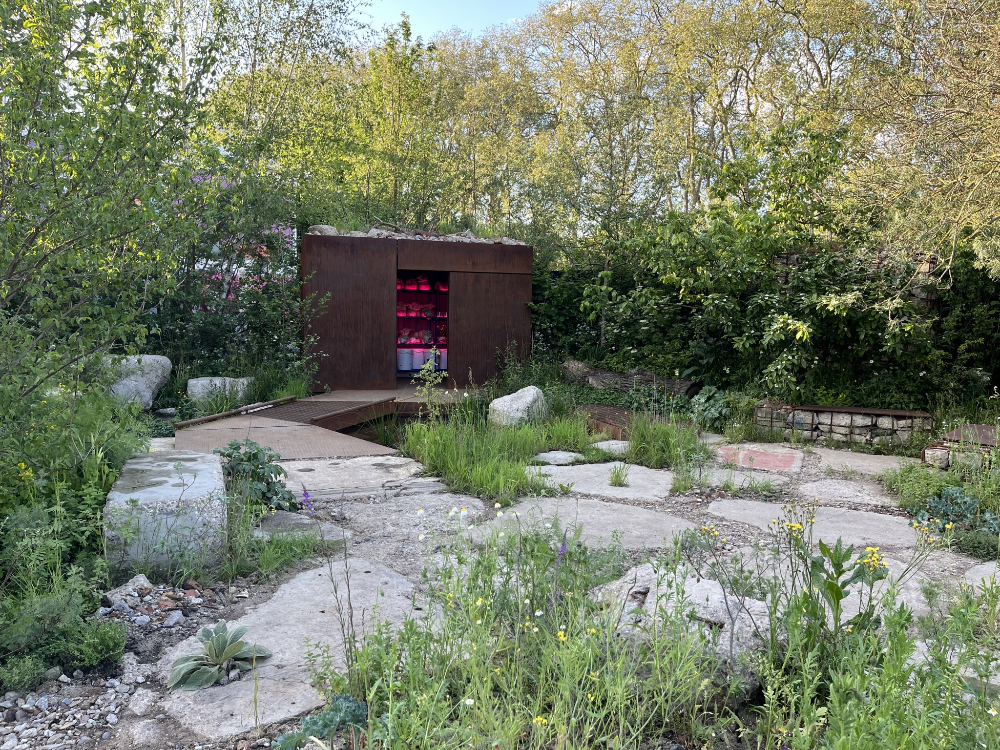 Urban style garden show with natural wildflower planting, wild planting, steel container with opening lit with red light, housing mushrooms