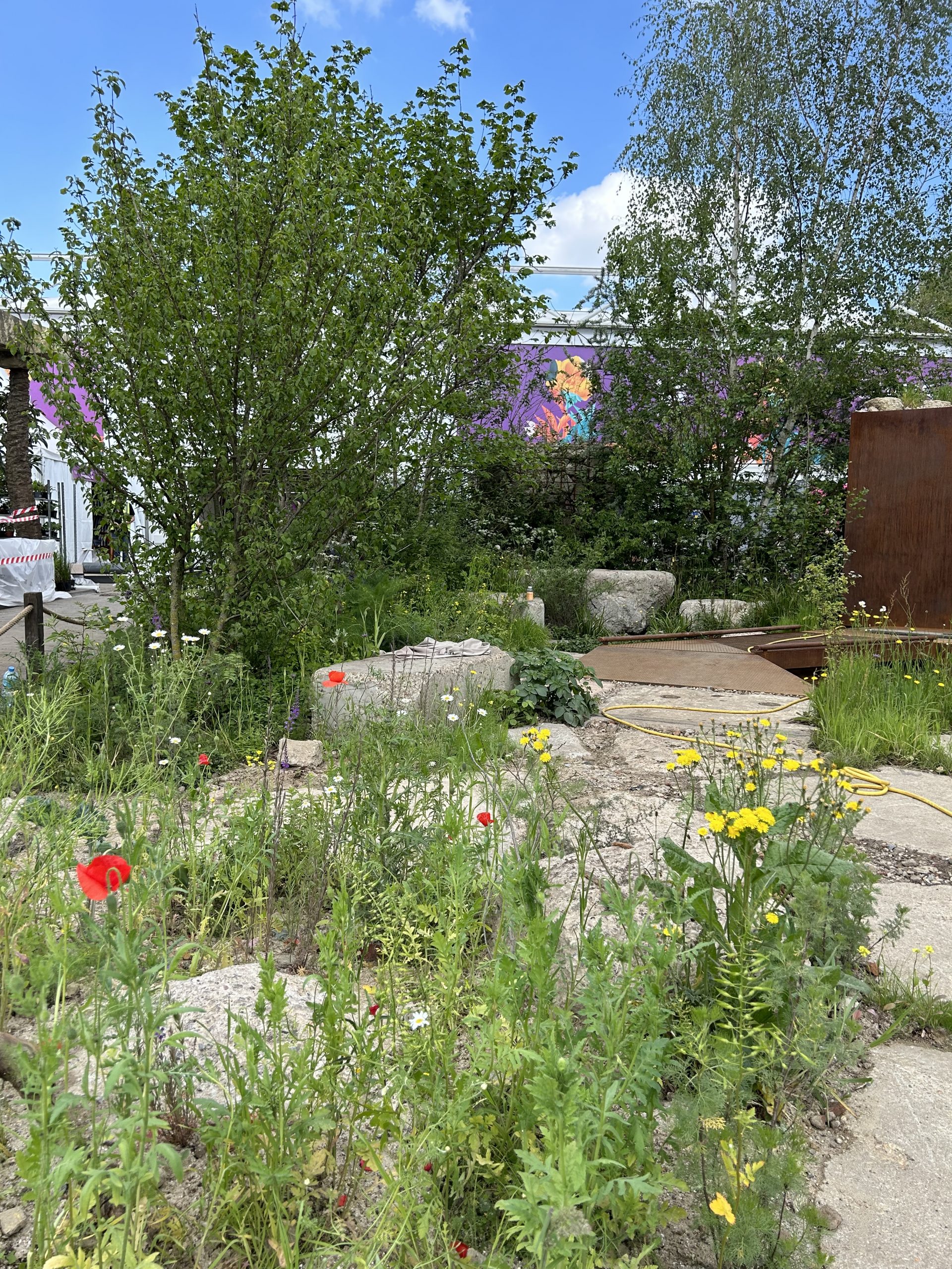 Planting in urban show garden in-between concrete, gravel with steel walkway